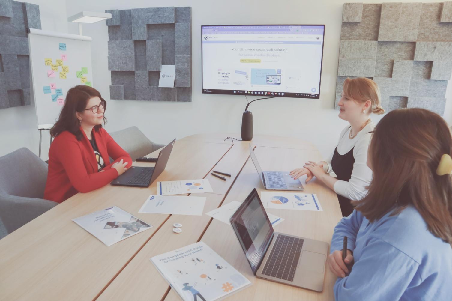 Team workspace and program development environment